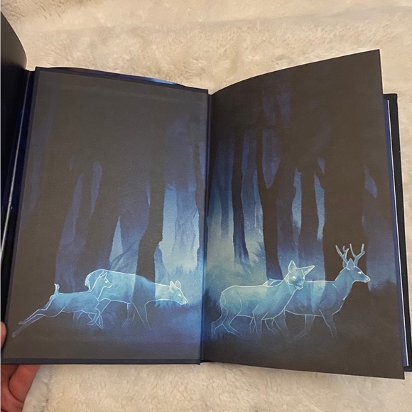 Owl Crate November Book Box - Picture 5 of 11